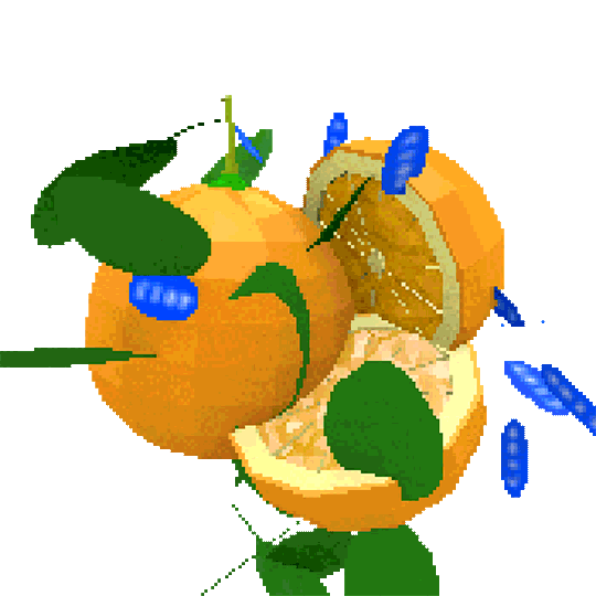 Navel Oranges Orange Sticker by jjjjjohn for iOS & Android GIPHY
