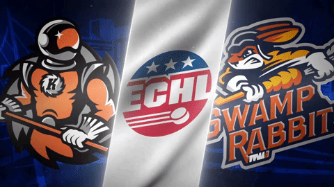 Komets GIF by Greenville Swamp Rabbits
