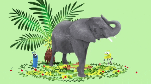 Jungle GIFs - Find & Share on GIPHY