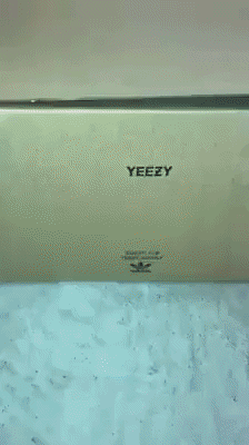 New Type Of Yeezy in funny gifs