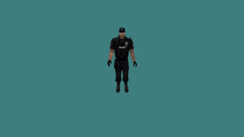 giphy.gif