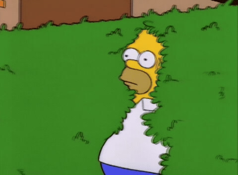 The Simpsons: Homer Simpson slowly backs away into a green hedge until he disappears.