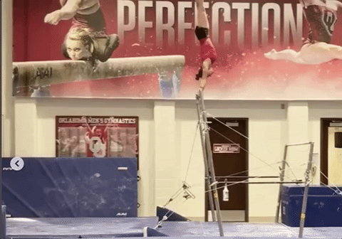 Can't-Miss Skills Done in NCAA Gymnastics - College Gym News