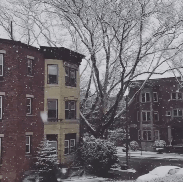 Snowy Day In Boston in funny gifs