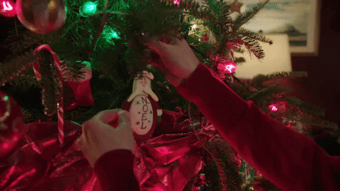 Merry Christmas GIF by Hallmark Channel - Find & Share on GIPHY