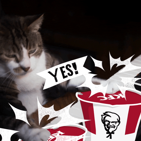 gif-kfc-cat
