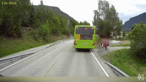 Luckiest Save On Road Ever in funny gifs