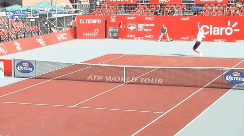 Смешные гифки, с абсолютно непредсказуемым финалом, которого вы точно не ожидаете непредсказуемые гифки, гифки с неожиданным финалом, видео с неожиданным финалом, непредсказуемое видео