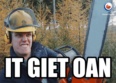 Fries Moai GIF by Omrop Fryslân