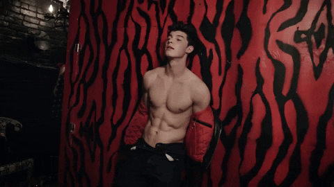 Shawn Mendes GIF
