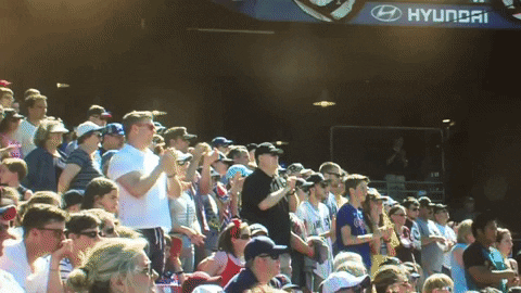 Baseball Fans GIF by Kane County Cougars
