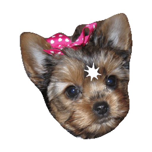 Dog Puppy Sticker by imoji for iOS & Android GIPHY