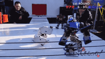 Robot Wrestling in funny gifs