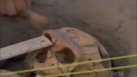 Buster Bluth in Arrested Development destroys a skull during an excavation