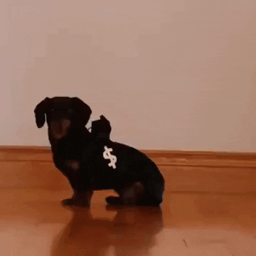 Cops And Robbers Dogs GIF by reactionseditor
