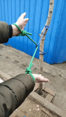 The rope trick in random gifs