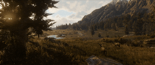 giphy.gif