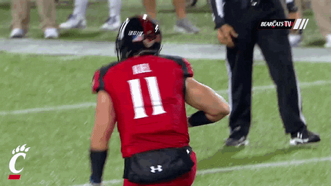 chicago bear touchdown gif chicago bear touchdown gif