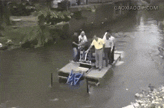 giphy.gif