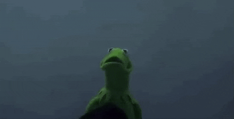 Stages of Finals as Narrated by Kermit the Frog | Her Campus