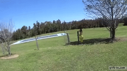 imagenes gif,imagenes graciosas, las mejores imagenes, imagenes graciosas, chistes, risas