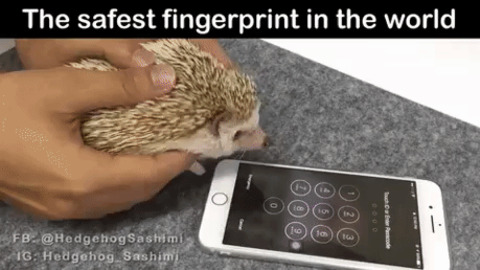 Safest Fingerprint