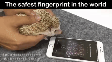 Safest Fingerprint in funny gifs