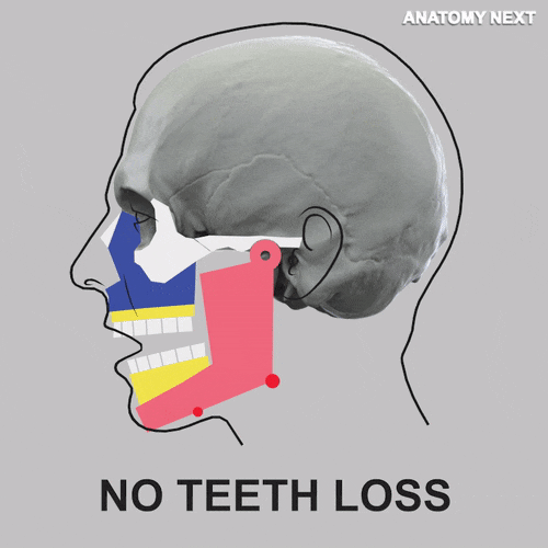 effects of teeth loss
