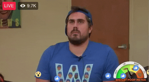 big cat shirts barstool