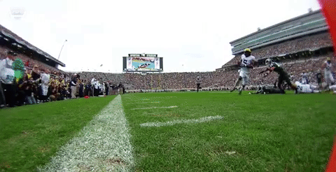 Michigan Football GIF by ESPN College Football - Find & Share on GIPHY