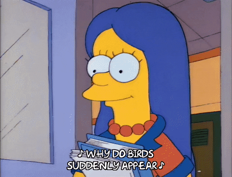 Https Encrypted Tbn0 Gstatic Com Images Q Tbn 3aand9gcrlznrw Vofcsfficdaqudlzkr7ldyckho3nyvwpu6nvsroaioe