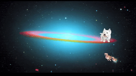 A gif of a dog flying through space.