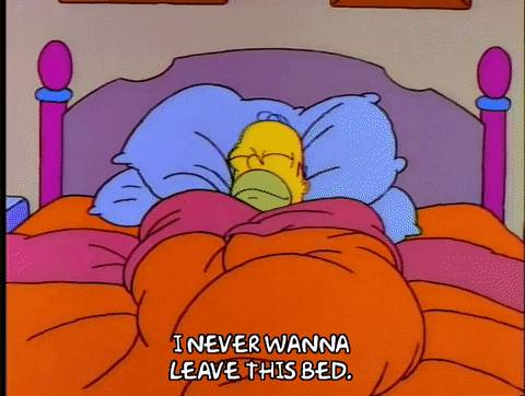 Homer Simpson Sleeping GIF