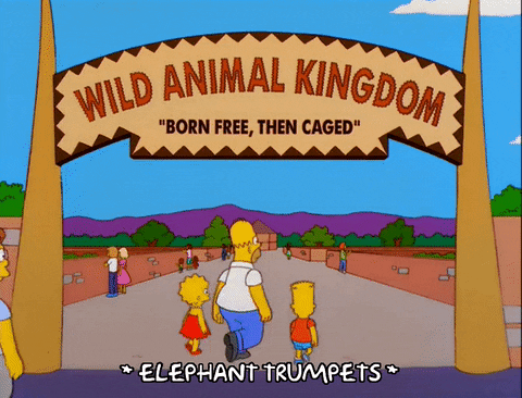 Zoo equals business