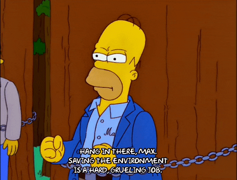 Homer Simpson Episode 13 GIF