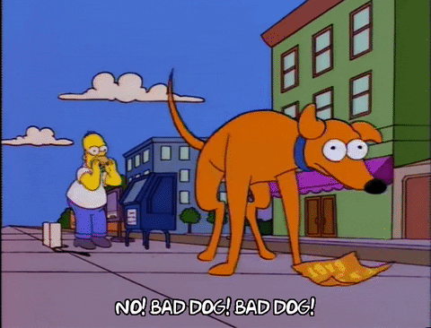 Homer Simpson yelling at his dog for being a bad dog