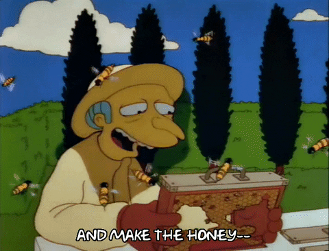 The Simpsons happy season 3 episode 11 mr. burns
