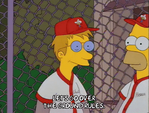 The Simpsons homer simpson season 3 baseball episode 17