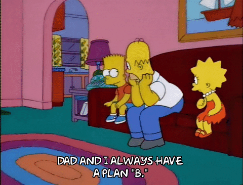 Image result for plan b simpsons gif