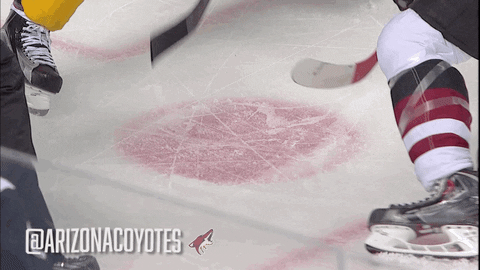 Ice Hockey GIF by Arizona Coyotes