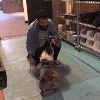 The Word Alive Twa GIF by Alternative Press