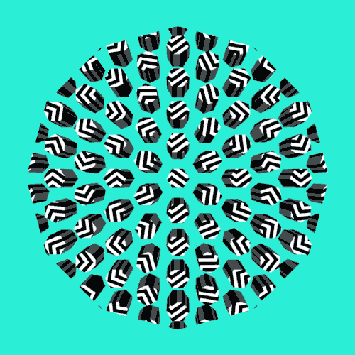 Zig Zag Stripes GIF by Dominic Ewan Find & Share on GIPHY