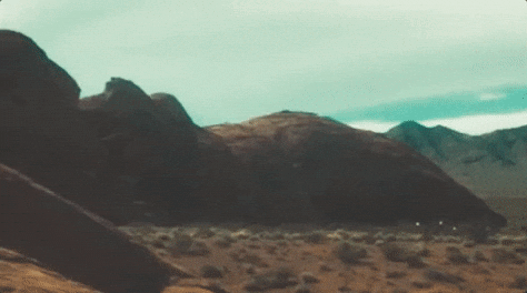 giphy.gif