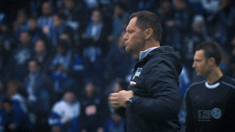 Hertha Berlin Football GIF by Hertha BSC
