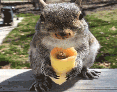 Funny Cute Animated GIF