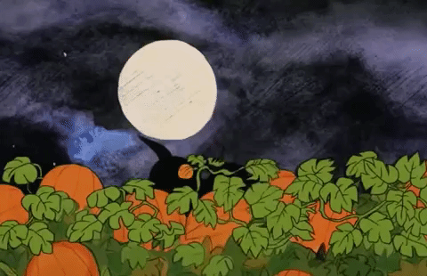 Image result for Pumpkin patch gif