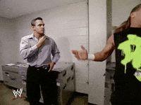 HBK Sweet Chin Music