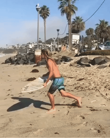 Surfing Unexpected in funny gifs