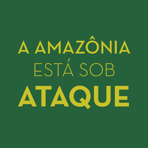 Amazonia GIF - Find & Share on GIPHY