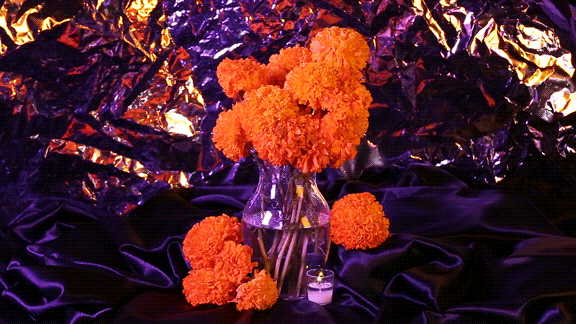 Flor de cempasúchil representando el folklore